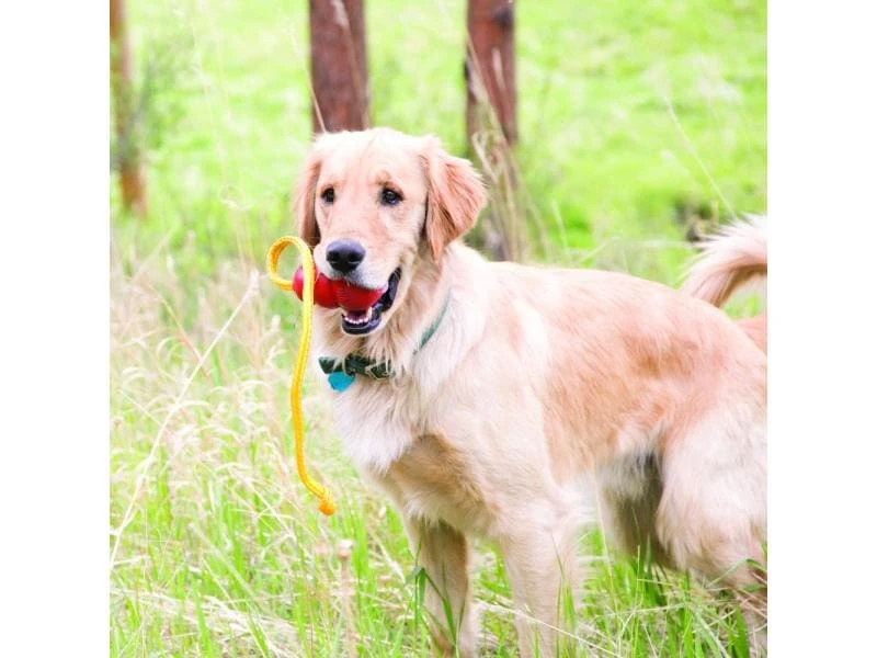Kong Hunde-Spielzeug Classic Rope XL 2 Kong Hunde-Spielzeug Classic Rope XL – Bild 2