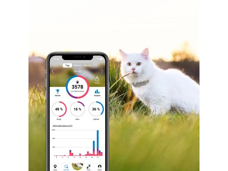 Tractive GPS-Tracker LTE für Katzen 8 Tractive GPS-Tracker LTE für Katzen – Bild 8