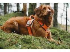 HURTTA Geschirr Weekend Warrior -Hundewelt Verkäufe 180923840 xxl 1