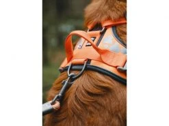 HURTTA Geschirr Weekend Warrior -Hundewelt Verkäufe 180923869 xxl 3