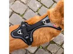 Curli Geschirr Magnetic Belka Comfort XS -Hundewelt Verkäufe 183398560 xxl