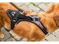 Curli Geschirr Magnetic Belka Comfort XS -Hundewelt Verkäufe 183398577 xxl