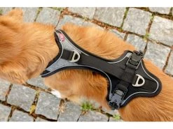 Curli Geschirr Magnetic Belka Comfort XS -Hundewelt Verkäufe 183398583 xxl