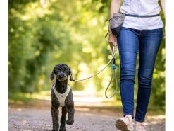 Curli Hundeleine Stretch Comfort ø 8 mm / 1.8 m -Hundewelt Verkäufe 183401179 xxl