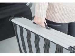 Trixie Teleskop-Rampe 6.8 kg, 40 x 78 - 175 cm -Hundewelt Verkäufe 184640779 xxl