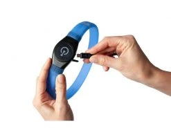 Karlie Leuchtring Visio Light LED Langhaar, gelb -Hundewelt Verkäufe 186296331 xxl 1