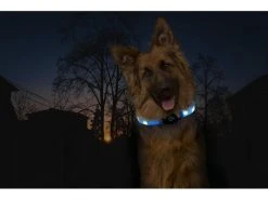 Karlie Leuchtring Visio Light LED Langhaar, blau -Hundewelt Verkäufe 186297145 xxl