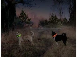 Karlie Leuchtring Visio Light LED Langhaar, gelb -Hundewelt Verkäufe 186300248 xxl 1