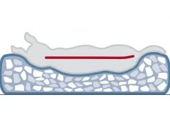 Trixie Hunde-Bett Vital Noah 60 x 50 cm 5 Trixie Hunde-Bett Vital Noah 60 x 50 cm -Hundewelt Verkäufe 186888867 xxl 2