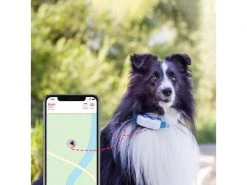 Tractive GPS-Tracker LTE für Hunde, weiss -Hundewelt Verkäufe 189361484 xxl