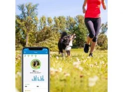 Tractive GPS-Tracker LTE für Hunde, weiss -Hundewelt Verkäufe 189361487 xxl