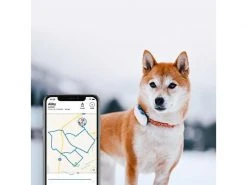 Tractive GPS-Tracker LTE für Hunde, weiss -Hundewelt Verkäufe 189361493 xxl