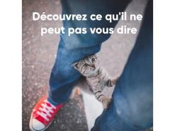 Invoxia Pet GPS-Tracker für Katzen und Hunde -Hundewelt Verkäufe 190385802 xxl