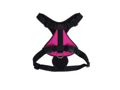 Carolina Corrodi Geschirr French Bulldog, Auckland, Pink -Hundewelt Verkäufe 193781264 xxl