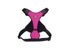 Carolina Corrodi Geschirr French Bulldog, Auckland, Pink