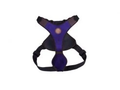 Carolina Corrodi Geschirr French Bulldog, Hobart, Dunkelblau