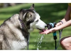 RINSEKIT Mobile Hunde-Dusche 7.4 Liter, Schwarz 12 RINSEKIT Mobile Hunde-Dusche 7.4 Liter, Schwarz -Hundewelt Verkäufe 194201443 xxl
