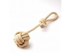 Anijoy Hunde-Spielzeug Braccio