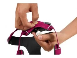 Ruffwear Geschirr Front Range XS, Hibiscus Pink -Hundewelt Verkäufe 201364496 xxl