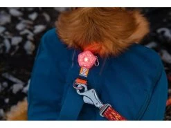 Ruffwear Rucksack Front Range S, Blue Moon -Hundewelt Verkäufe 201378353 xxl 1