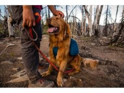 Ruffwear Rucksack Front Range S, Blue Moon -Hundewelt Verkäufe 201378366 xxl 1