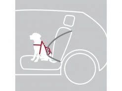 Trixie Auto-Geschirr Dog Protect S-M -Hundewelt Verkäufe 208188503 xxl