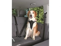 Trixie Auto-Geschirr Dog Protect S-M -Hundewelt Verkäufe 208188864 xxl