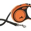 Flexi Hundeleine XTREME, S: 5 m