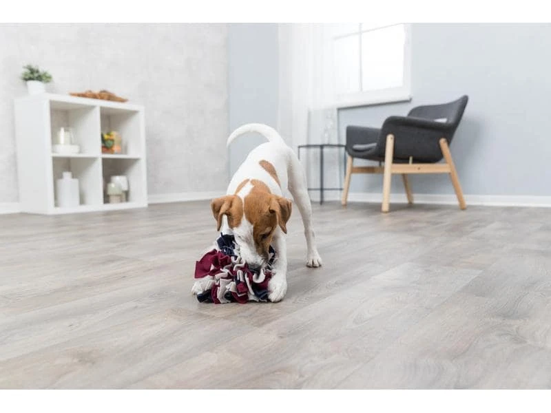 Trixie Strategie-Spiel Schnüffelball, ø 15 cm 5 Trixie Strategie-Spiel Schnüffelball, ø 15 cm – Bild 5