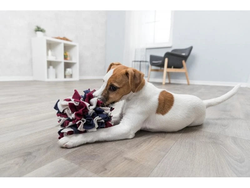 Trixie Strategie-Spiel Schnüffelball, ø 15 cm 6 Trixie Strategie-Spiel Schnüffelball, ø 15 cm – Bild 6