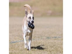 Kong Hunde-Spielzeug Classic Extreme S Ø 5 cm, Schwarz -Hundewelt Verkäufe 211011374 xxl