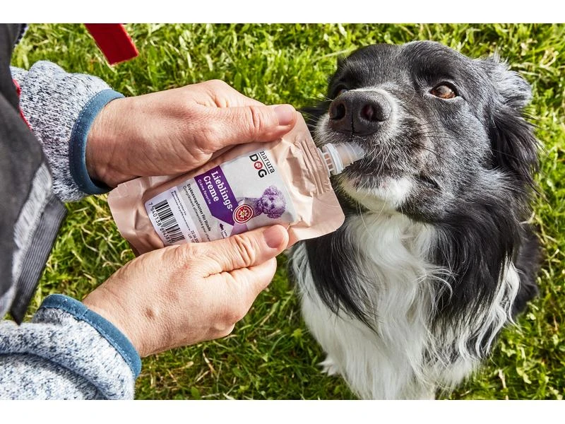 NaturaDog Leckerli Lieblingscreme Lachs, Multipack, 5 x 100 g 4 NaturaDog Leckerli Lieblingscreme Lachs, Multipack, 5 x 100 g – Bild 4