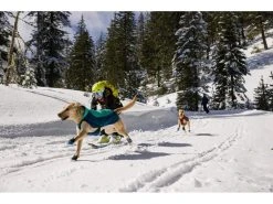 Ruffwear Wintermantel Vert, M, Aurora Teal -Hundewelt Verkäufe 212400194 xxl