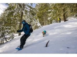 Ruffwear Wintermantel Vert, M, Aurora Teal -Hundewelt Verkäufe 212400672 xxl