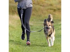 Trixie Joggingleine Bauchgurt mit Leine M, Grafit-Schwarz -Hundewelt Verkäufe 212413463 xxl