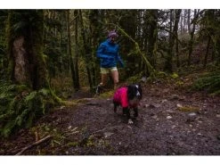 Ruffwear Regenmantel Sun Shower, S, Hibiscus Pink -Hundewelt Verkäufe 212415599 xxl