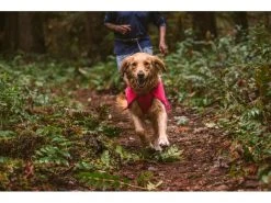 Ruffwear Regenmantel Sun Shower, S, Hibiscus Pink -Hundewelt Verkäufe 212415602 xxl