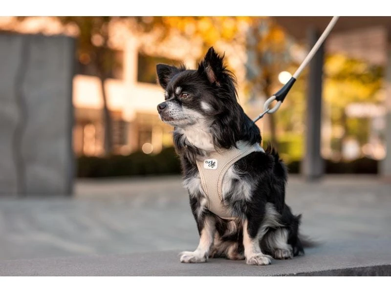 Curli Geschirr Vest Air-Mesh S, Light-Tan 3 Curli Geschirr Vest Air-Mesh S, Light-Tan – Bild 3