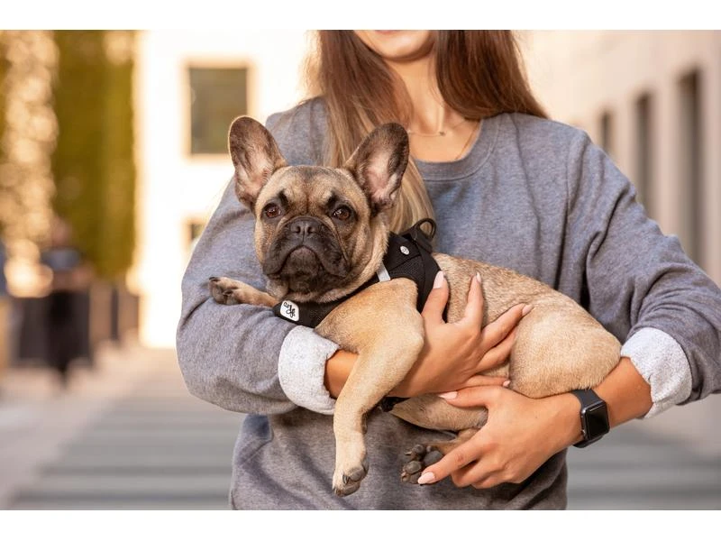 Curli Geschirr Vest Air-Mesh S, Light-Tan 4 Curli Geschirr Vest Air-Mesh S, Light-Tan – Bild 4