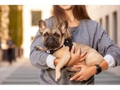 Curli Geschirr Vest Air-Mesh L, Schwarz 12 Curli Geschirr Vest Air-Mesh L, Schwarz -Hundewelt Verkäufe 213088730 xxl 3