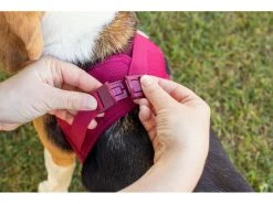 Curli Geschirr Vest Air-Mesh S, Moss -Hundewelt Verkäufe 213088776 xxl