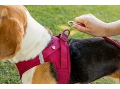 Curli Geschirr Vest Air-Mesh S, Moss -Hundewelt Verkäufe 213088781 xxl