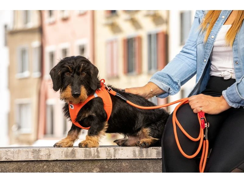 Curli Geschirr Vest Air-Mesh L, Schwarz 7 Curli Geschirr Vest Air-Mesh L, Schwarz – Bild 7