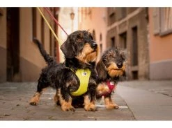 Curli Geschirr Vest Air-Mesh XL, Ruby -Hundewelt Verkäufe 213088797 xxl 6