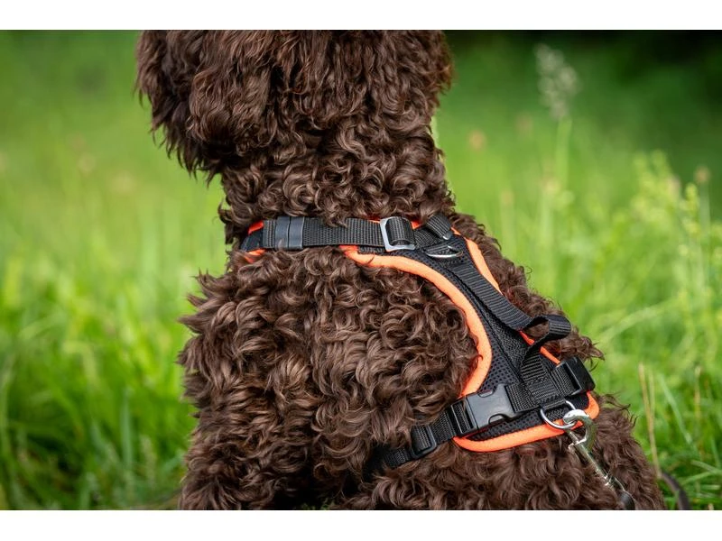 Grossenbacher Geschirr Vary, Schwarz 3 Grossenbacher Geschirr Vary, Schwarz – Bild 3