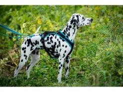 Grossenbacher Geschirr Vary, Orange -Hundewelt Verkäufe 213119158 xxl 2