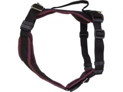 Grossenbacher Welpengeschirr Popp-it, Bordeaux