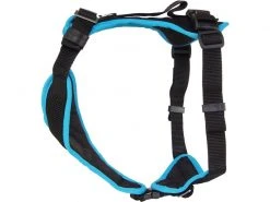 Grossenbacher Welpengeschirr Popp-it, Türkis