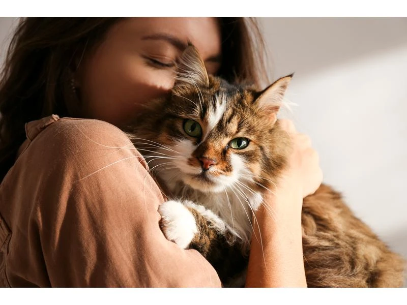 Anima Strath Hunde-Nahrungsergänzung Aufbaumittel Granulat, 100g 4 Anima Strath Hunde-Nahrungsergänzung Aufbaumittel Granulat, 100g – Bild 4