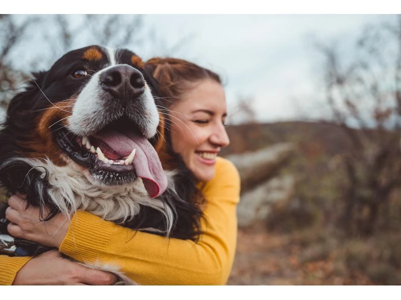 Anima Strath Hunde-Nahrungsergänzung Aufbaumittel Granulat, 100g 5 Anima Strath Hunde-Nahrungsergänzung Aufbaumittel Granulat, 100g – Bild 5